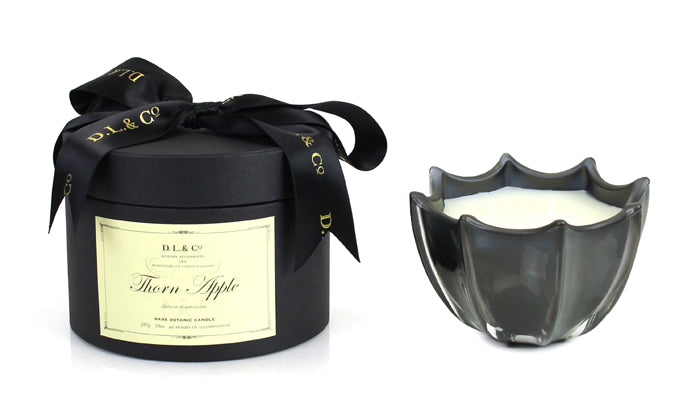 Thorn Apple 10oz Scalloped Candle